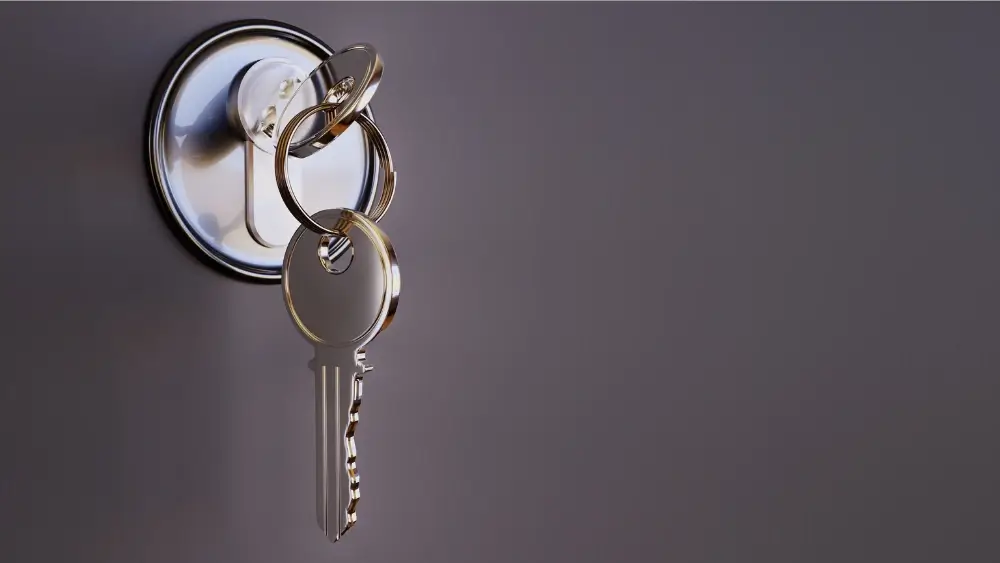 Gather and Secure Asset